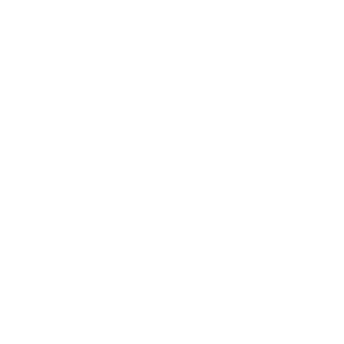 Budget Beauty BD